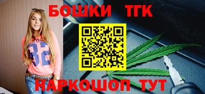 МДПВ Будённовск