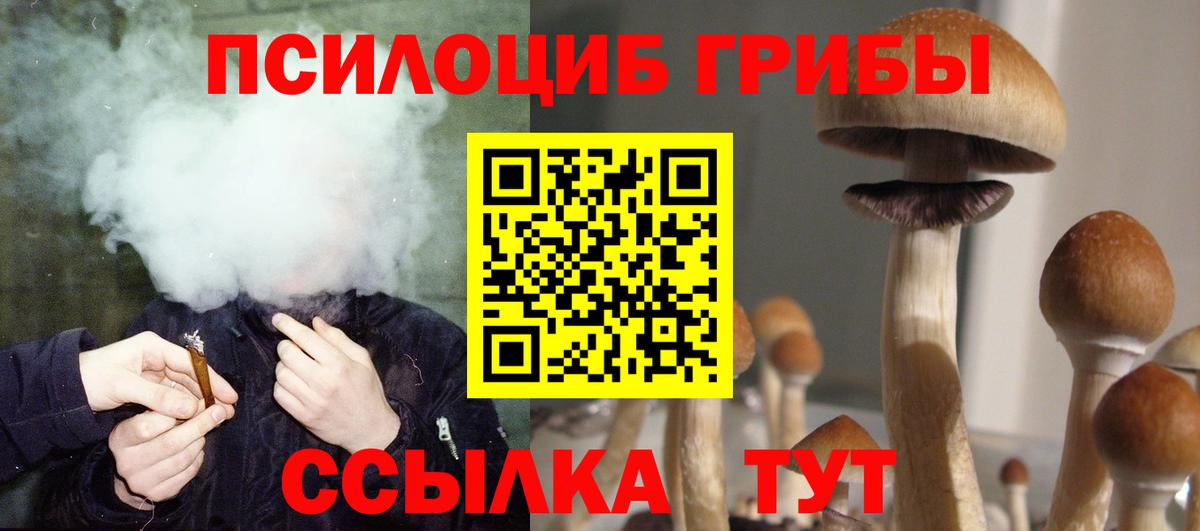 Псилоцибиновые грибы Cubensis  Вход с VPN  Кыштым 